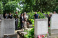 /album/20261/dk-479-jpg/